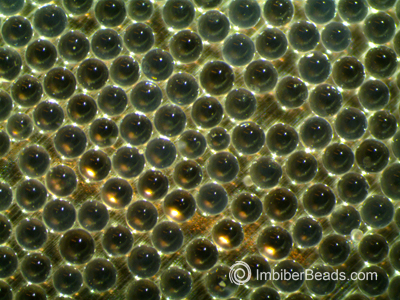 IMBIBER BEADS® swollen with liquid